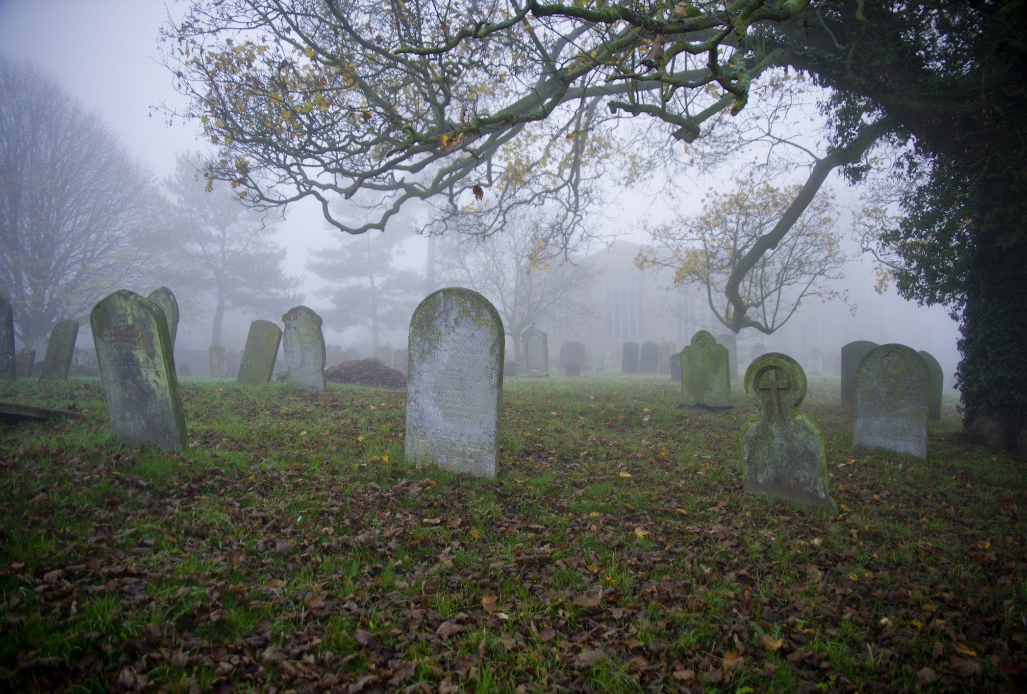 Gravestones in a cemetery